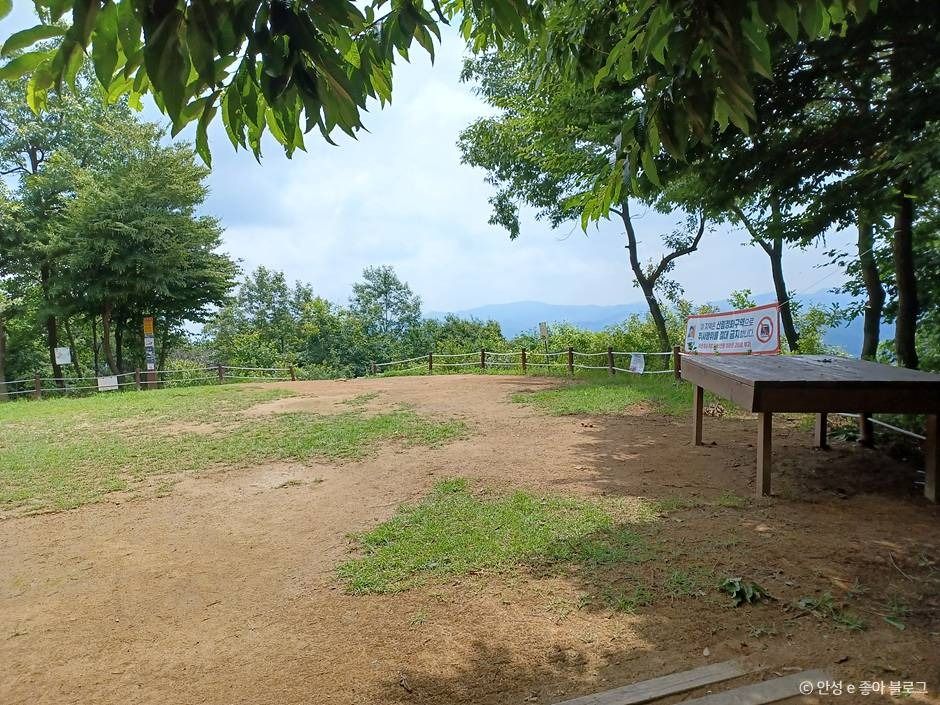 서운산 여행 추천 - 메고지고 서운산 여행 추천 - 메고지고
