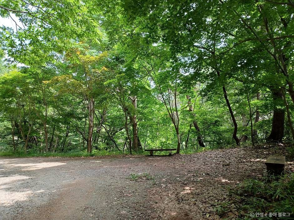 서운산 여행 추천 - 메고지고 서운산 여행 추천 - 메고지고