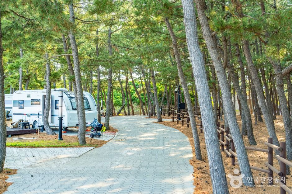 덕천해수욕장 여행 추천 - 메고지고