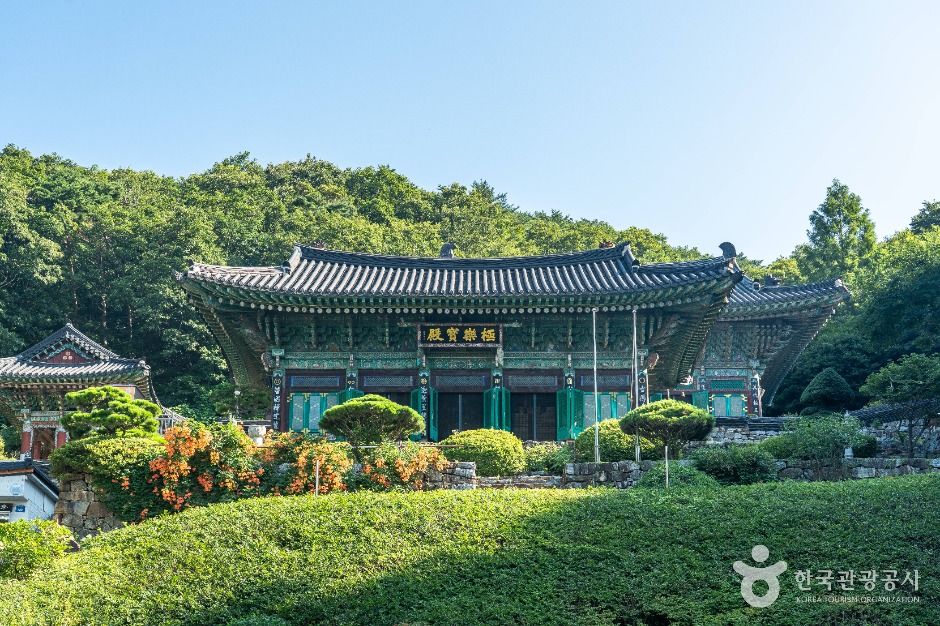 망월사(경기 광주) 여행 추천 - 메고지고 망월사(경기 광주) 여행 추천 - 메고지고