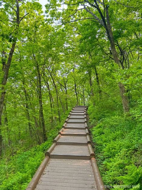 보현산(영천) 여행 추천 - 메고지고