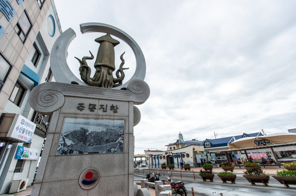 주문진항 여행 추천 - 메고지고 주문진항 여행 추천 - 메고지고
