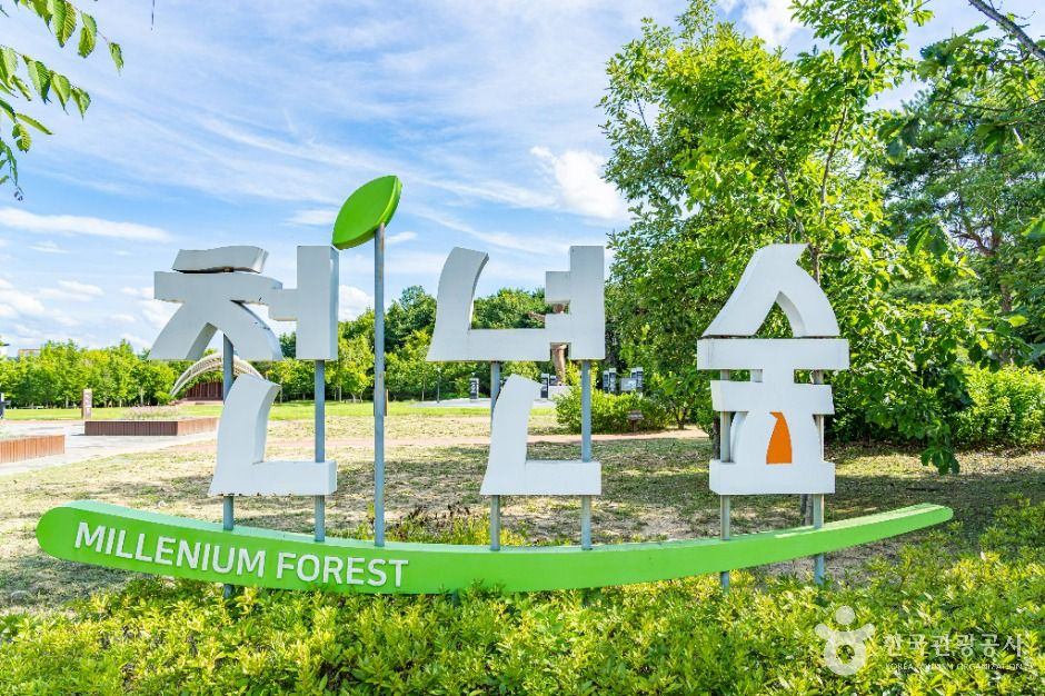 천년숲 여행 추천 - 메고지고 천년숲 여행 추천 - 메고지고