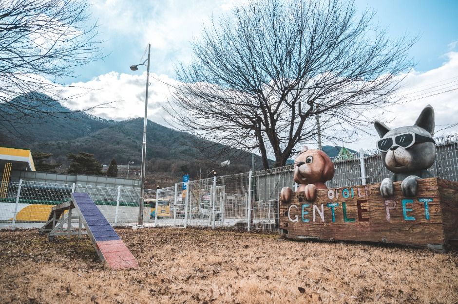 문경새재 반려동물 힐링센터 여행 추천 - 메고지고