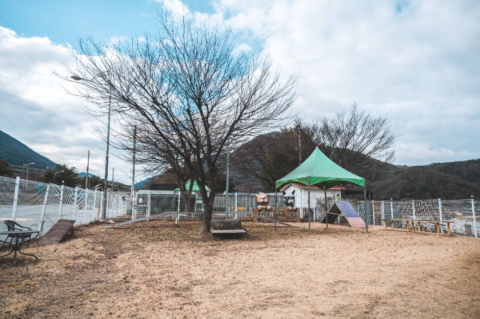 문경새재 반려동물 힐링센터 여행 추천 - 메고지고