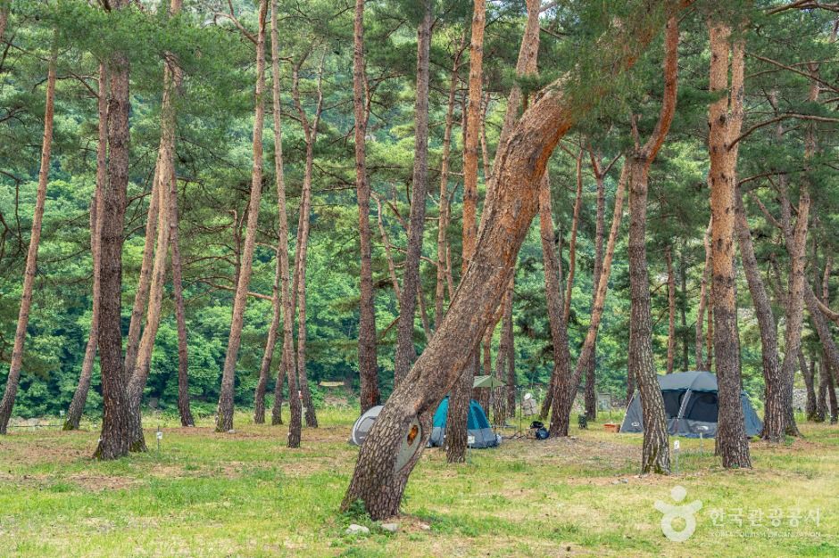 오천솔밭유원지 여행 추천 - 메고지고