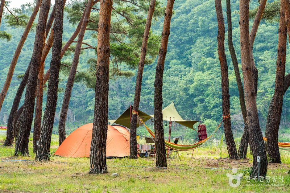 오천솔밭유원지 여행 추천 - 메고지고