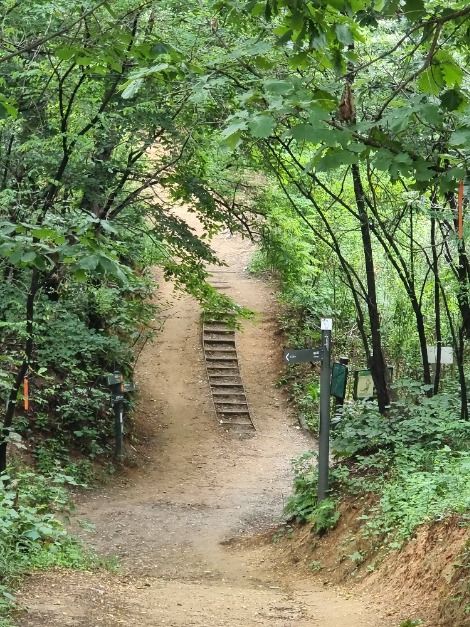 [서울둘레길 7코스] 일자산코스 여행 추천 - 메고지고