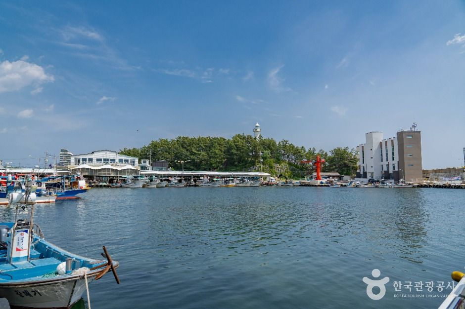 오호항 여행 추천 - 메고지고 오호항 여행 추천 - 메고지고