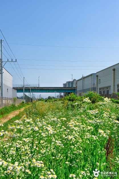 전천·전천생활체육공원 여행 추천 - 메고지고