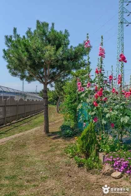 전천·전천생활체육공원 여행 추천 - 메고지고
