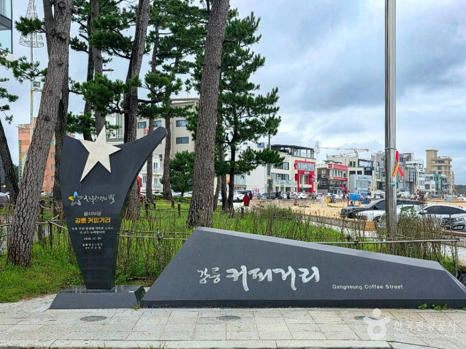 강릉커피거리 여행 추천 - 메고지고 강릉커피거리 여행 추천 - 메고지고
