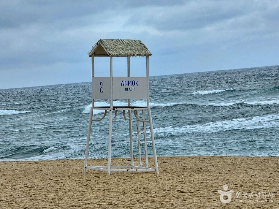 강릉커피거리 여행 추천 - 메고지고 강릉커피거리 여행 추천 - 메고지고