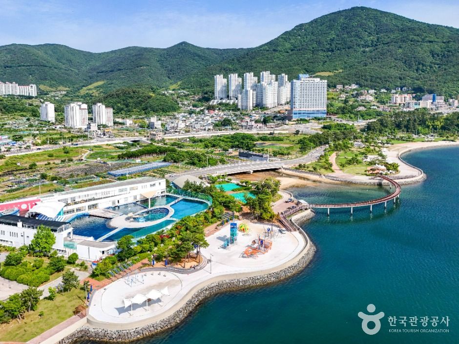 거제씨월드 여행 추천 - 메고지고 거제씨월드 여행 추천 - 메고지고