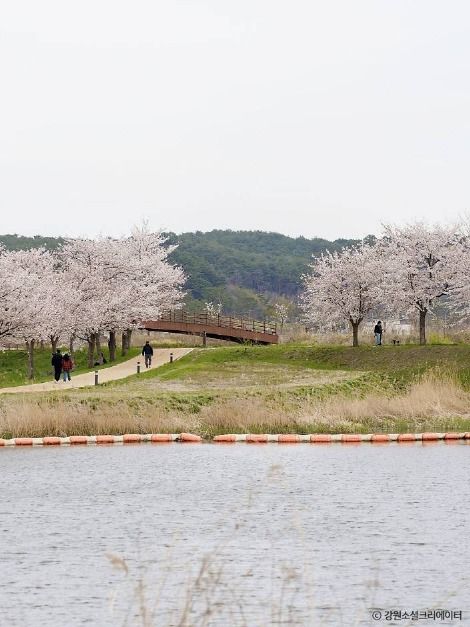 경포생태저류지 여행 추천 - 메고지고 경포생태저류지 여행 추천 - 메고지고