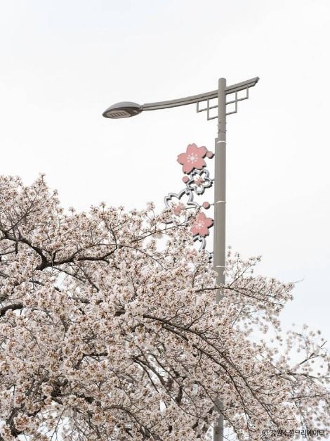 경포생태저류지 여행 추천 - 메고지고 경포생태저류지 여행 추천 - 메고지고