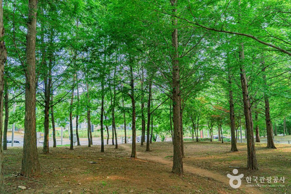 은여울공원 여행 추천 - 메고지고