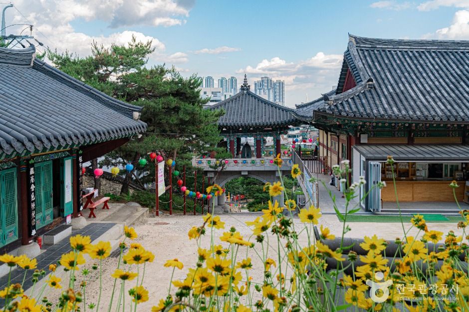 개운사(서울) 여행 추천 - 메고지고 개운사(서울) 여행 추천 - 메고지고
