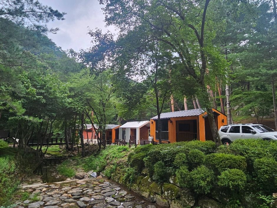국립검마산자연휴양림 여행 추천 - 메고지고