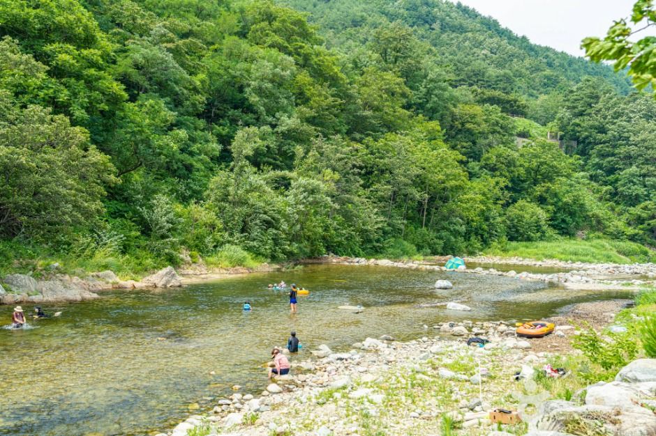장신유원지 여행 추천 - 메고지고 장신유원지 여행 추천 - 메고지고
