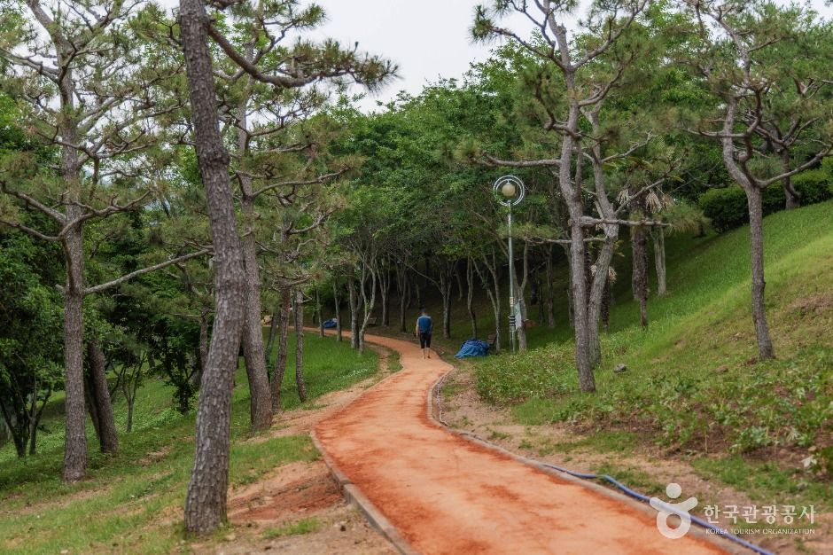 망산공원 여행 추천 - 메고지고 망산공원 여행 추천 - 메고지고