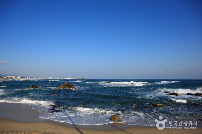 영진해변 여행 추천 - 메고지고
