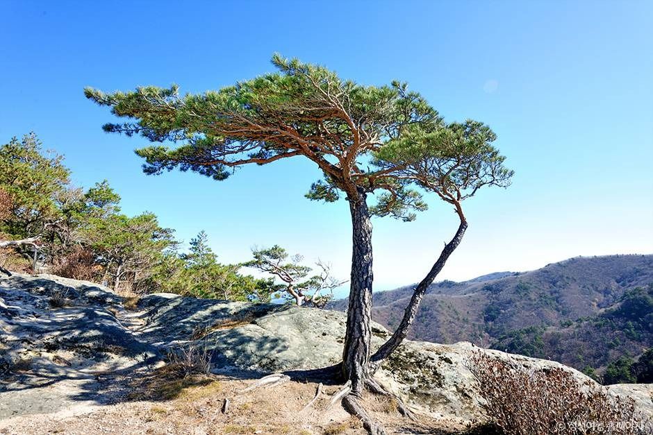 괘병산(정선) 여행 추천 - 메고지고 괘병산(정선) 여행 추천 - 메고지고