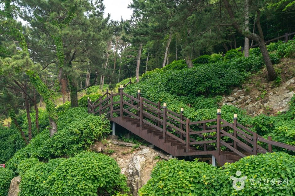 저구항 여행 추천 - 메고지고