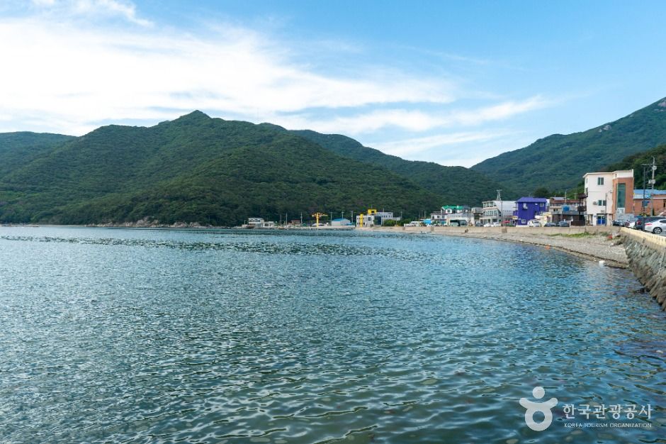 저구항 여행 추천 - 메고지고