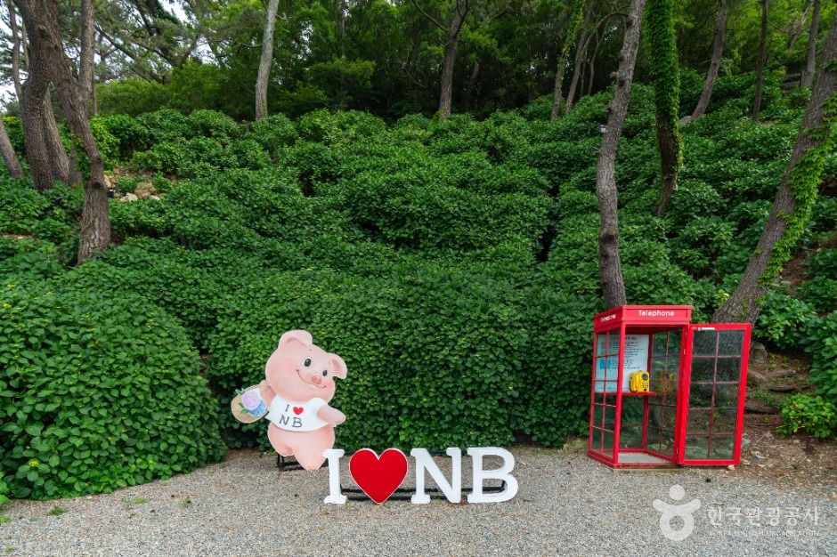 저구항 여행 추천 - 메고지고