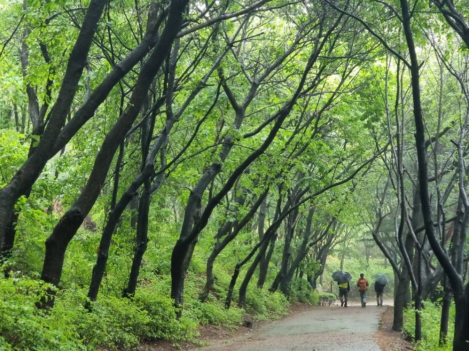 [서울둘레길 4코스] 망우·용마산코스 여행 추천 - 메고지고