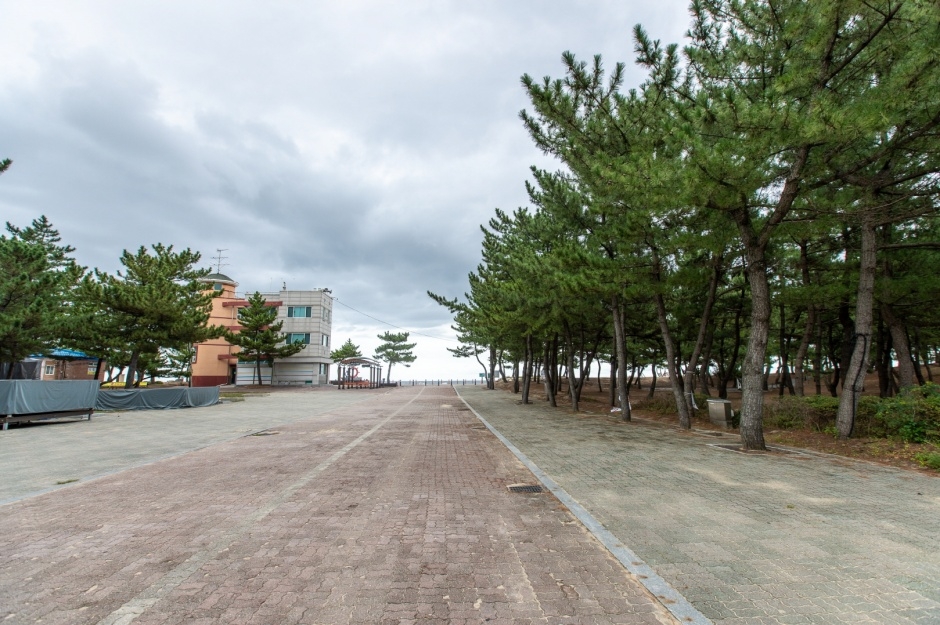 주문진해변 여행 추천 - 메고지고 주문진해변 여행 추천 - 메고지고