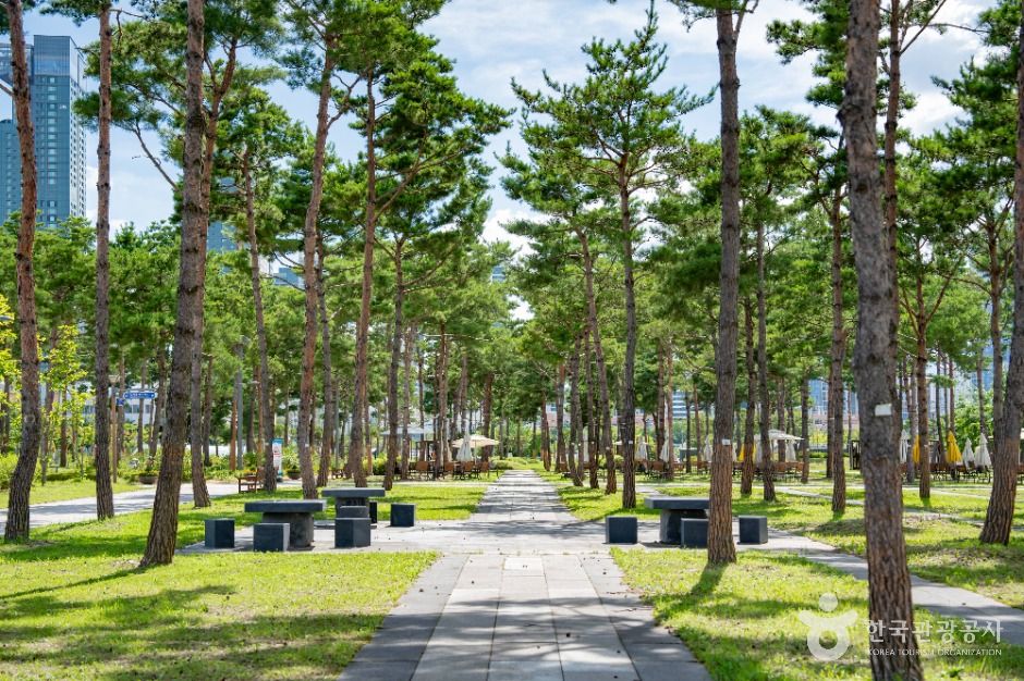 세종중앙공원 여행 추천 - 메고지고