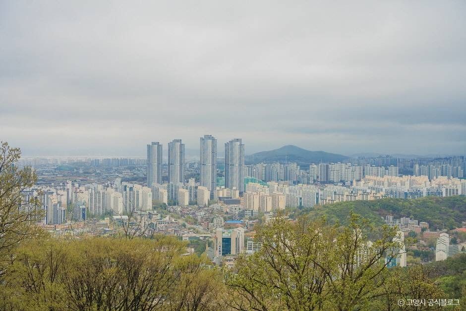 고봉산 여행 추천 - 메고지고 고봉산 여행 추천 - 메고지고