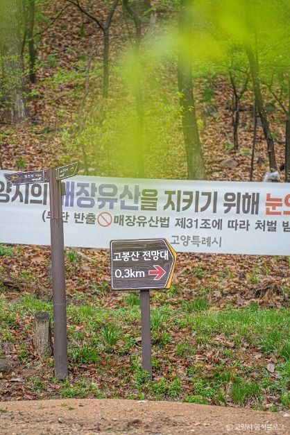 고봉산 여행 추천 - 메고지고 고봉산 여행 추천 - 메고지고