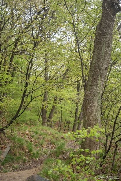 고봉산 여행 추천 - 메고지고 고봉산 여행 추천 - 메고지고