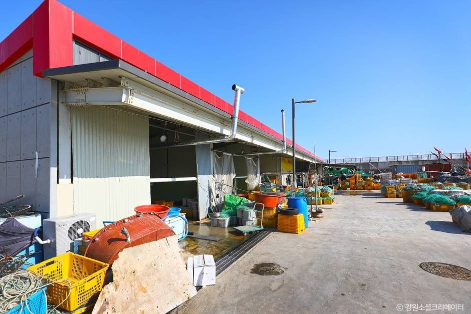 금진항(강릉) 여행 추천 - 메고지고 금진항(강릉) 여행 추천 - 메고지고