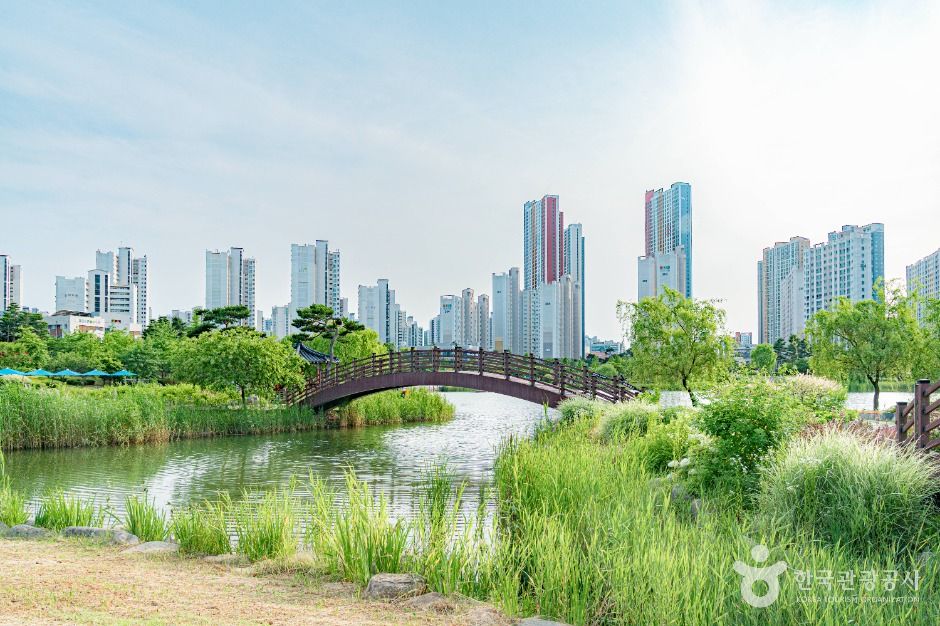 한강신도시 호수공원 여행 추천 - 메고지고