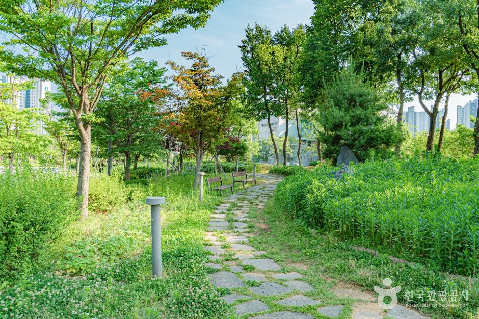 한강중앙공원 여행 추천 - 메고지고
