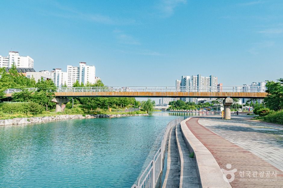 한강중앙공원 여행 추천 - 메고지고