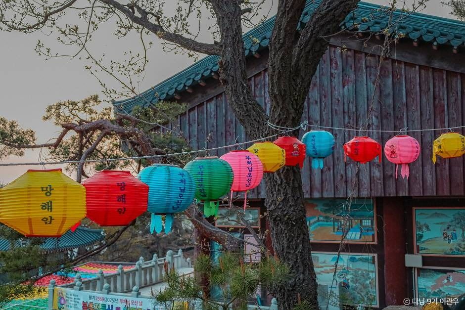 망해암 여행 추천 - 메고지고 망해암 여행 추천 - 메고지고