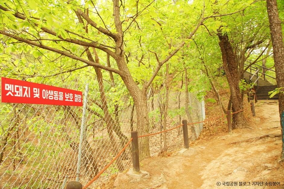 [북한산 둘레길 7구간] 옛성길 여행 추천 - 메고지고
