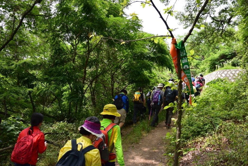 [경기옛길 삼남길 제7길] 독산성길 여행 추천 - 메고지고