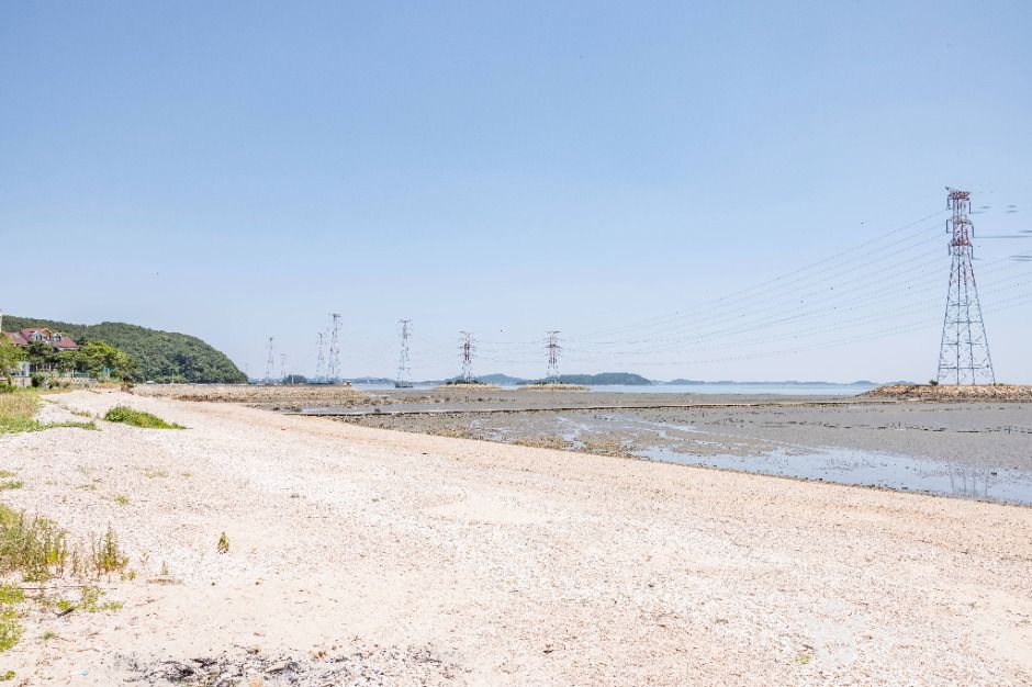 노가리해변 여행 추천 - 메고지고 노가리해변 여행 추천 - 메고지고