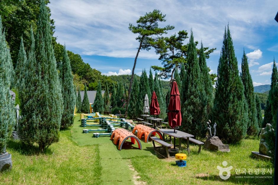 도토리숲키즈파크 여행 추천 - 메고지고 도토리숲키즈파크 여행 추천 - 메고지고