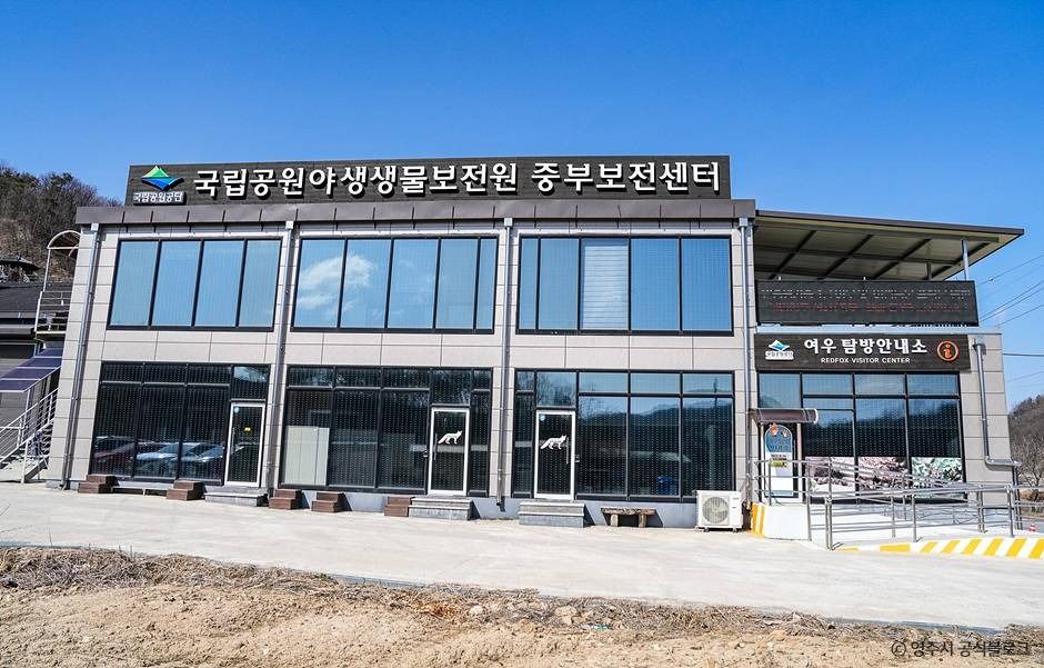 여우생태관찰원 여행 추천 - 메고지고 여우생태관찰원 여행 추천 - 메고지고