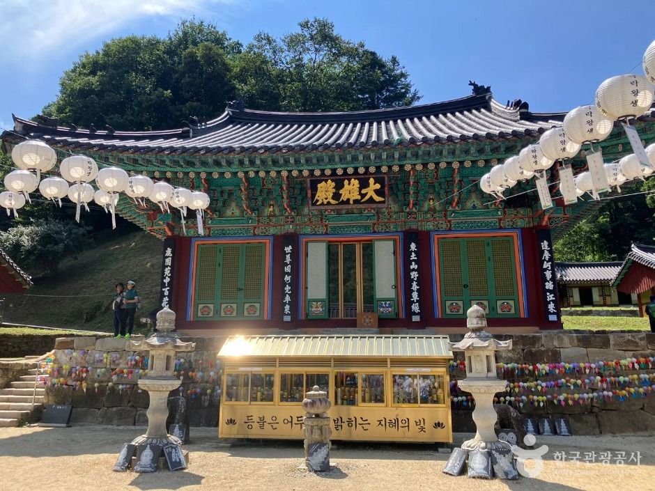 구룡사 여행 추천 - 메고지고 구룡사 여행 추천 - 메고지고