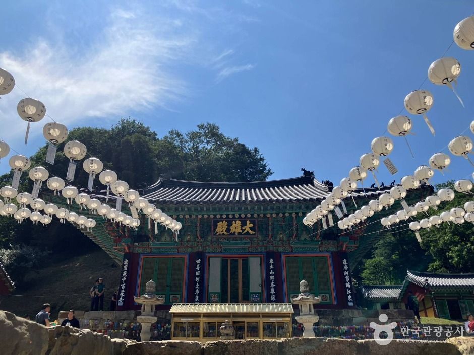 구룡사 여행 추천 - 메고지고 구룡사 여행 추천 - 메고지고