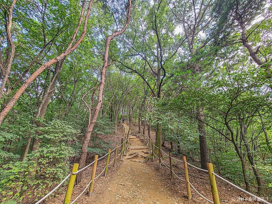 고성산 여행 추천 - 메고지고 고성산 여행 추천 - 메고지고