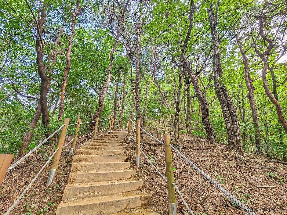 고성산 여행 추천 - 메고지고 고성산 여행 추천 - 메고지고